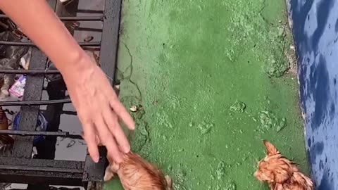 Salvando Vidas