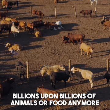 🌱 Embracing a Greener Future 🌍🍃