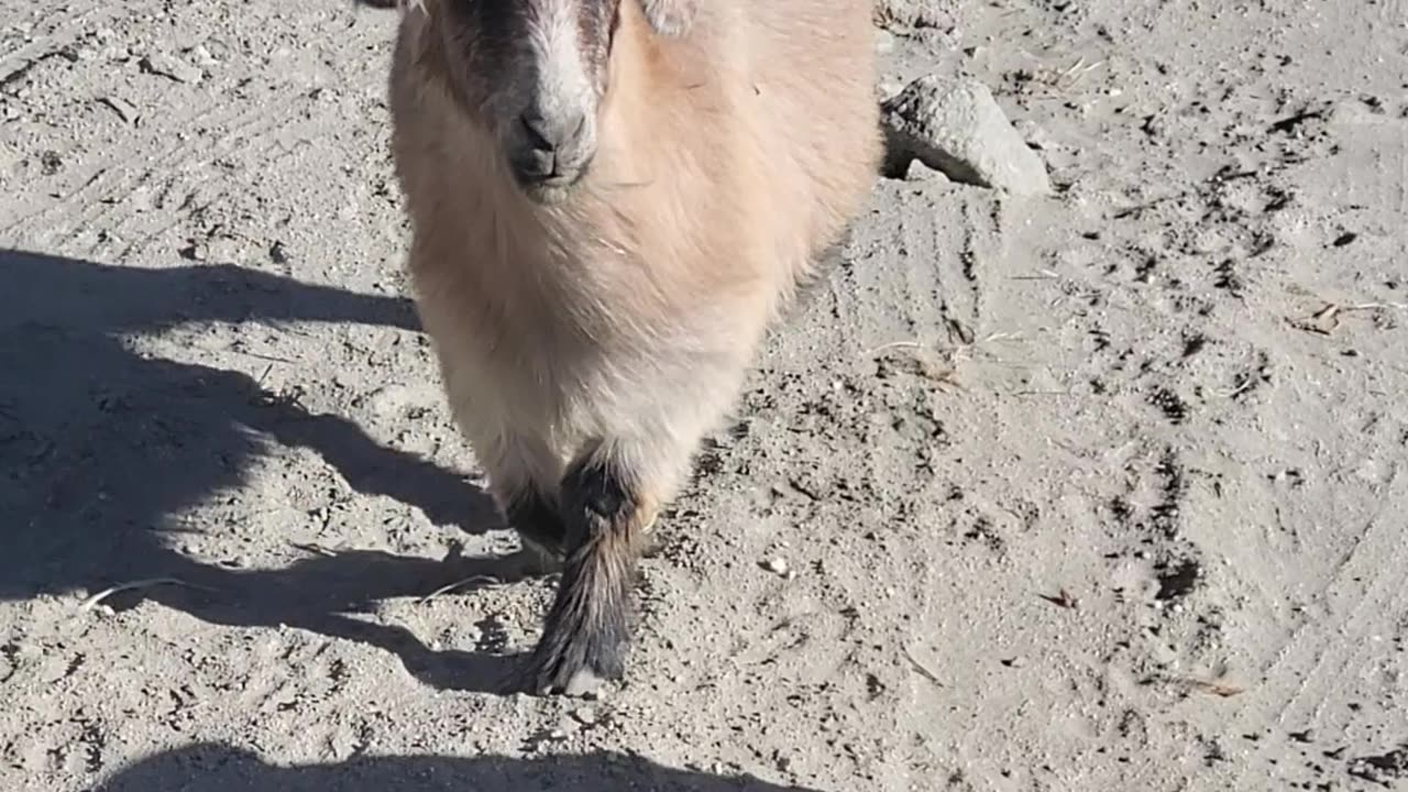 ladakh trip