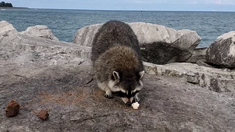 Summer chilling at the seaside