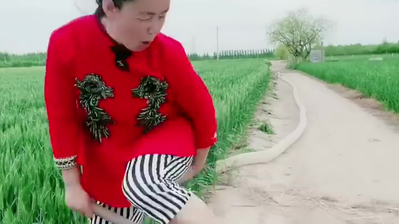 Best Funny Videos 2022, Chinese Funny clips daily #shorts😂😂😂