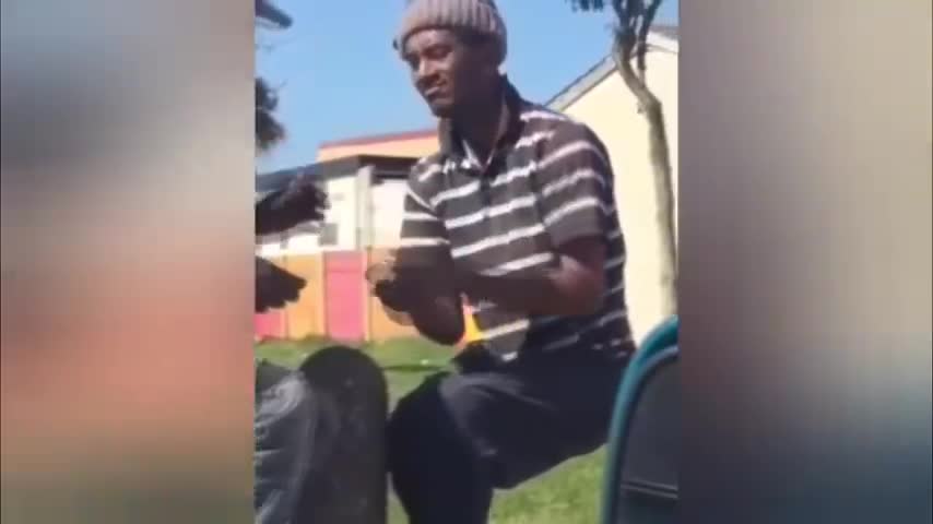 The Funniest Whatsapp Videos