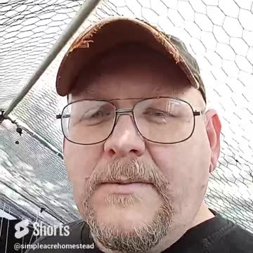 Spring setup, A glimpse at our summer coop transformation. Subscribe to see the upcoming full video.