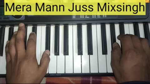 Mera Mann Juss Mixsingh | Piano Keyboard | CTS - 300 Casiotone