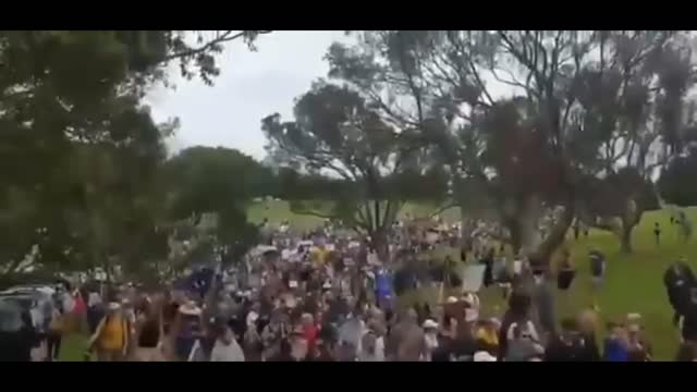 🇳🇿✊ The New Zealand Revolution NOW!