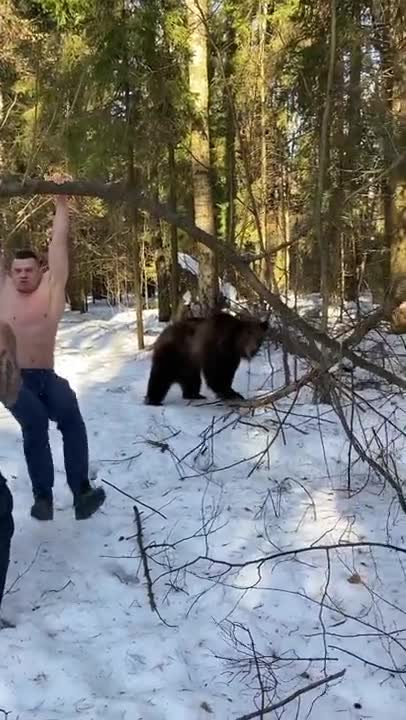 Do you also do sports with your bear or do you just drink vodka and play the balalaika?