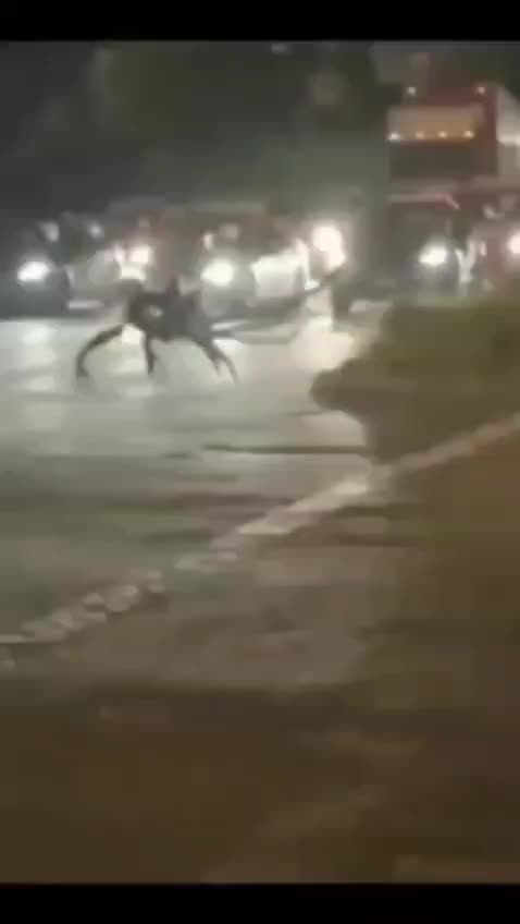 Bizzard, extraterrestrial, animal