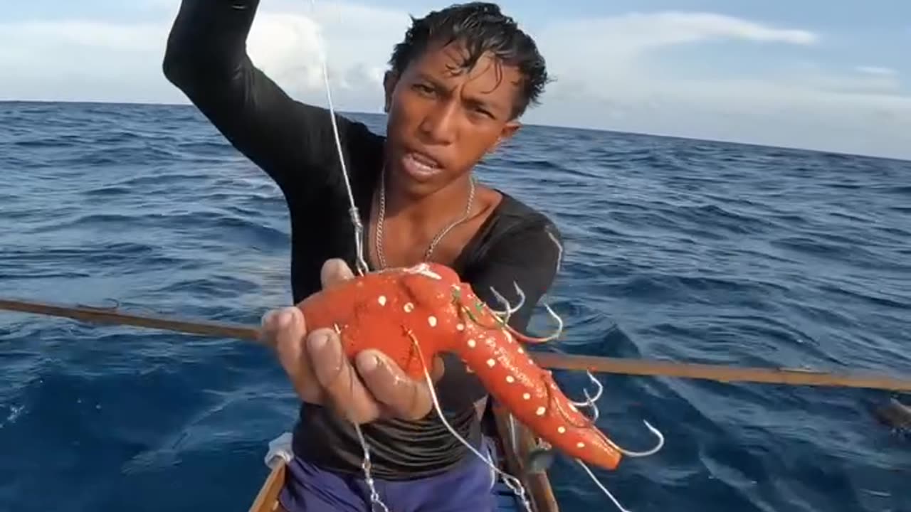 Catched big Squid using Guava wood bait