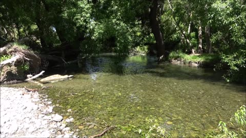 Calming sounds of river, birds and nature.