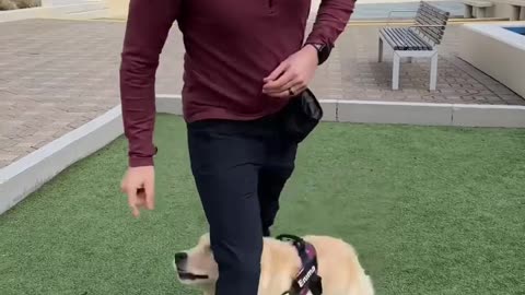 How to born with your dog