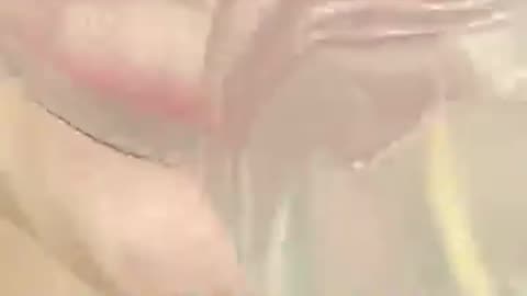 Food Asmr 🍧🍭🍬 with foode life