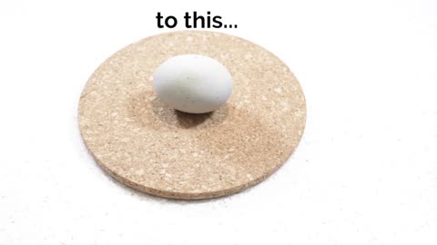 How To Make a Century Egg