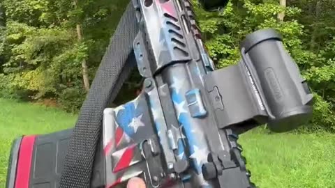 Do We Really Need A AR-15 ?? 2nd Amendment