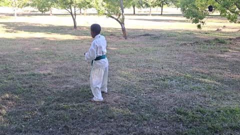 B4 - Mariano Konka - Green - Pinan Nidan