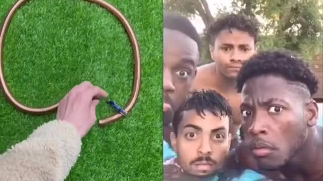 3original sound - lol
