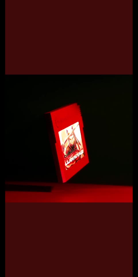 Shinja Inu Best Future