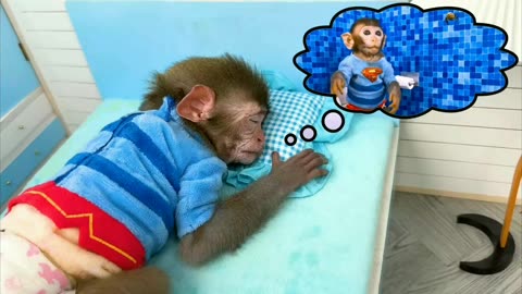 Bee disturb monkey