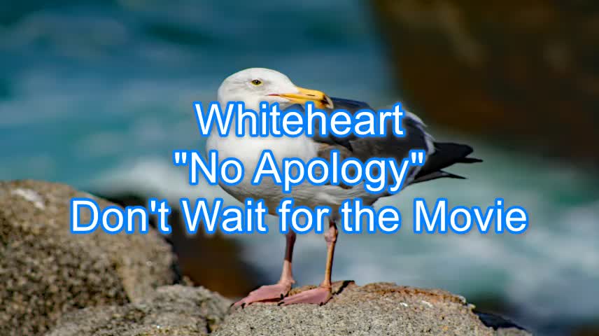 White Heart - No Apology #315