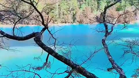 2 minutes of Jiuzhaigou beauty, please enjoy