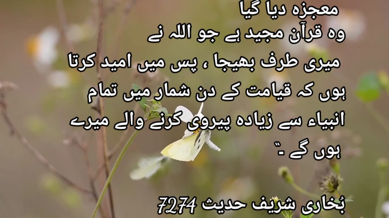 Hadees pak