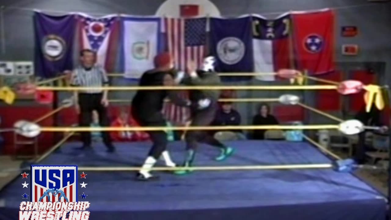 Professional vs Hannibal Alexander