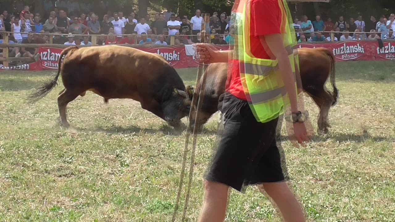 Vicko od Gutića vs Medonja od Idrizovića Stražbenica 2024