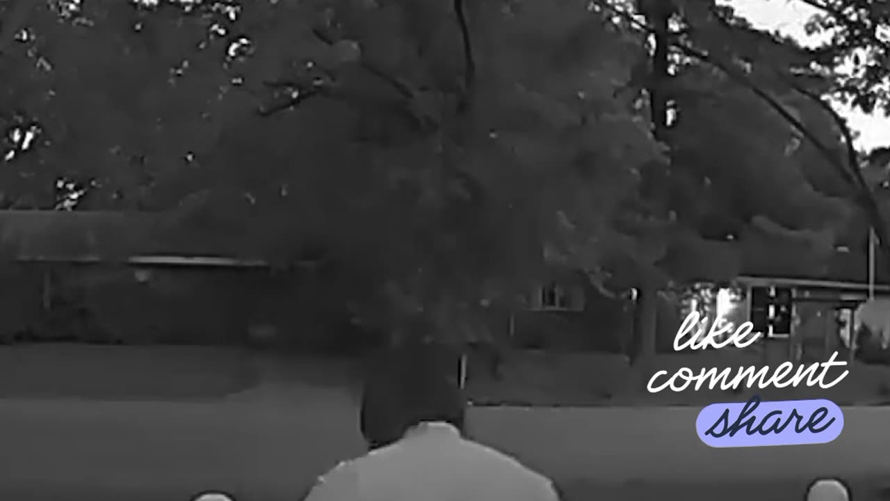 Funny Video Clips Like More Fun #funny #viral #trending