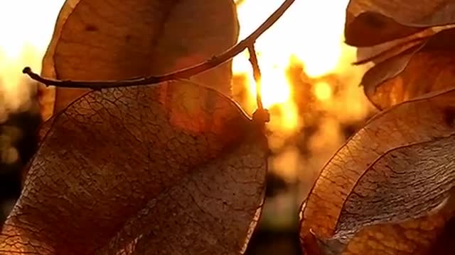 Beautiful sunset