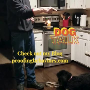 Check out my Blog "Dog Talk"