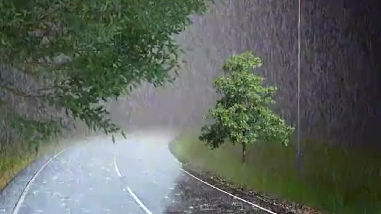 Listing to the Rain 🌧️Healing#Nature#Raining