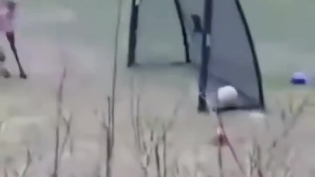 No big deal; just a deer scoring a goal then celebrating...