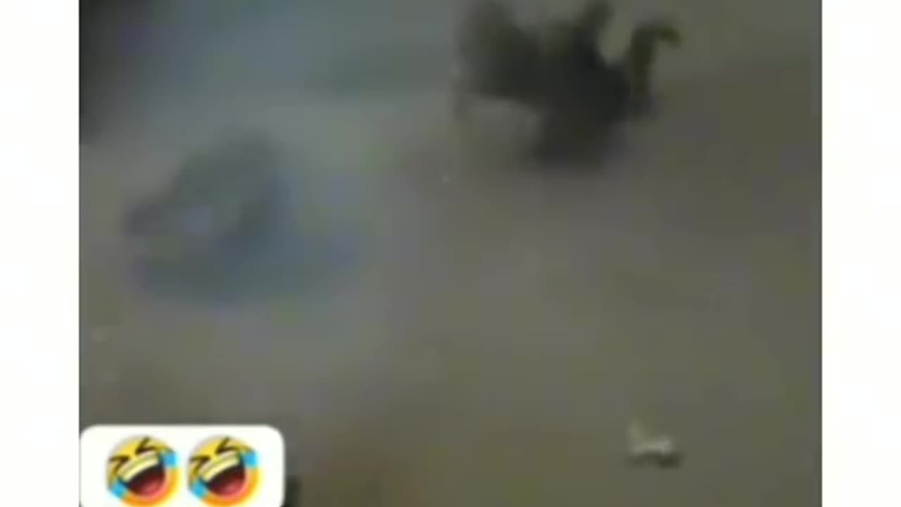 funny video #shorts upload #shorts