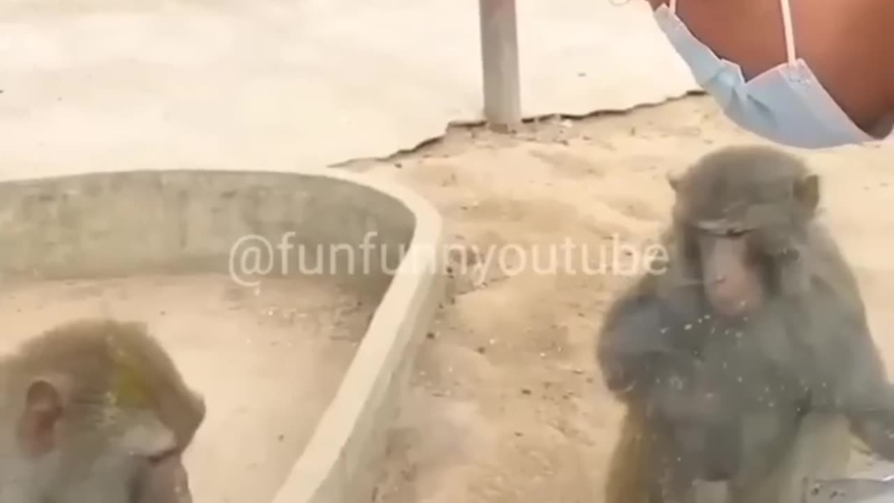 Funny video with money watch till the end