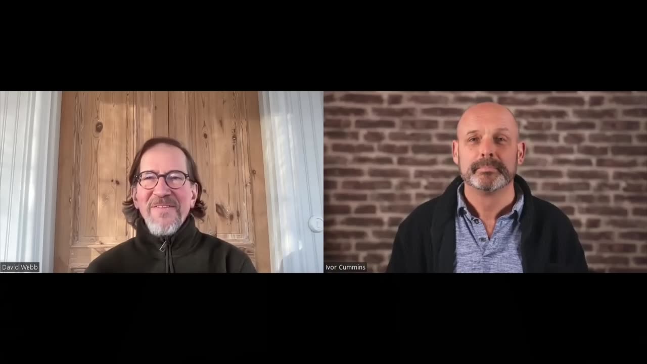 Ivor Cummins & David Webb - YOUR Assets are at Risk: "The Great Taking" KEY UPDATE
