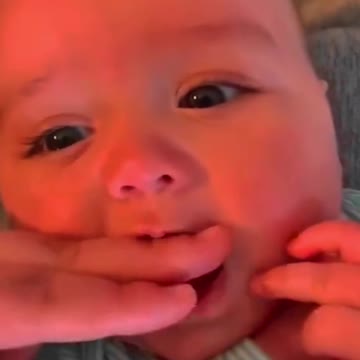 a little cuteness daily 8