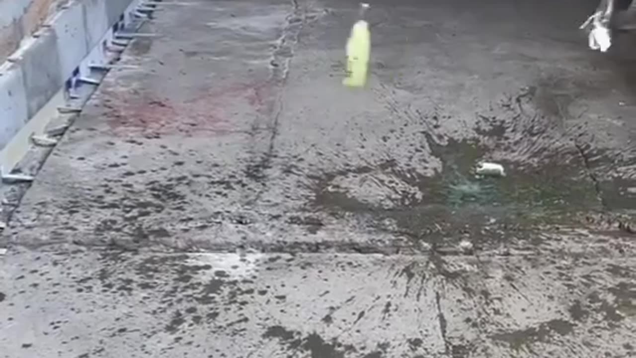 which bottlie is powerful watch the video : bottle vs Bottle