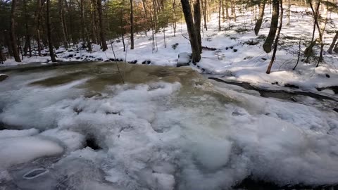 Frozen River