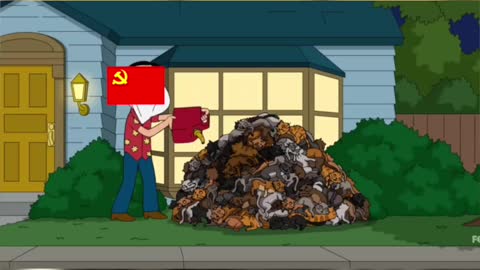 When It Comes To Cats China Be Like...