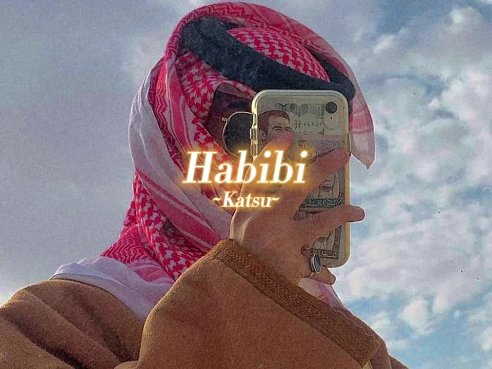 🎵Habibi - Albania remix ( speed up)