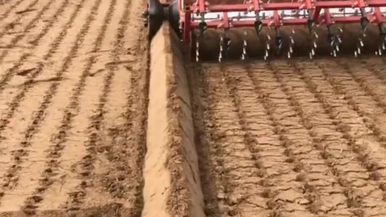 Garlic Farming Machine Save Time