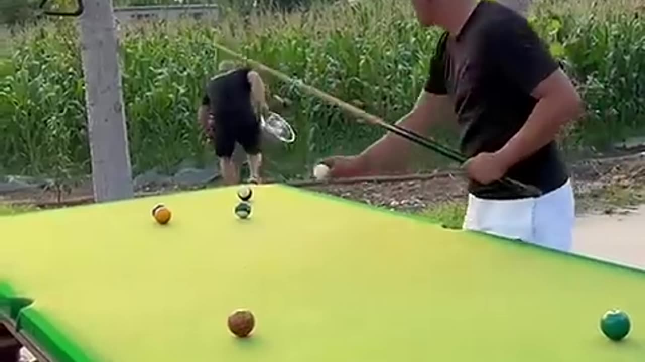 Funny Video Billiards