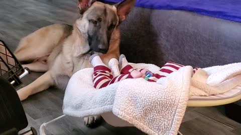 Dog Watches Baby Sleep