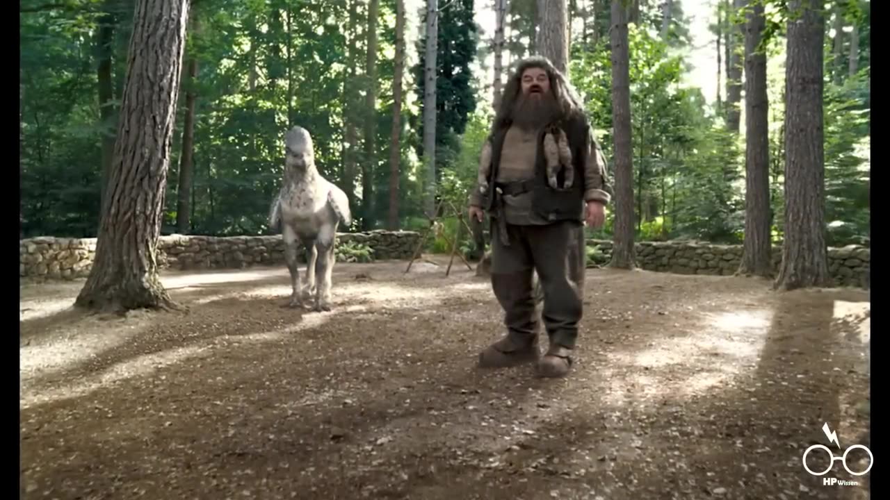 Ist HAGRID wirklich ein Todesser?