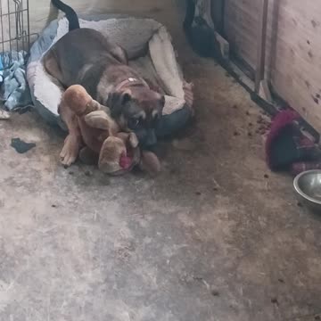 Just hanging out in the shop