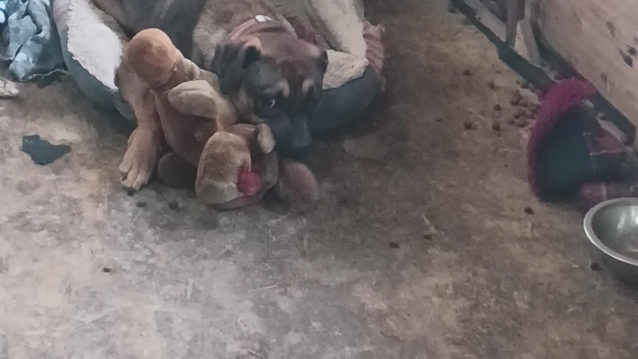 Just hanging out in the shop