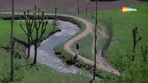 Mujhe Teri Mohabbat Ka Sahara Mil Gaya Hota _ Lata Mangeshkar Mohammed Rafi Superhit Song