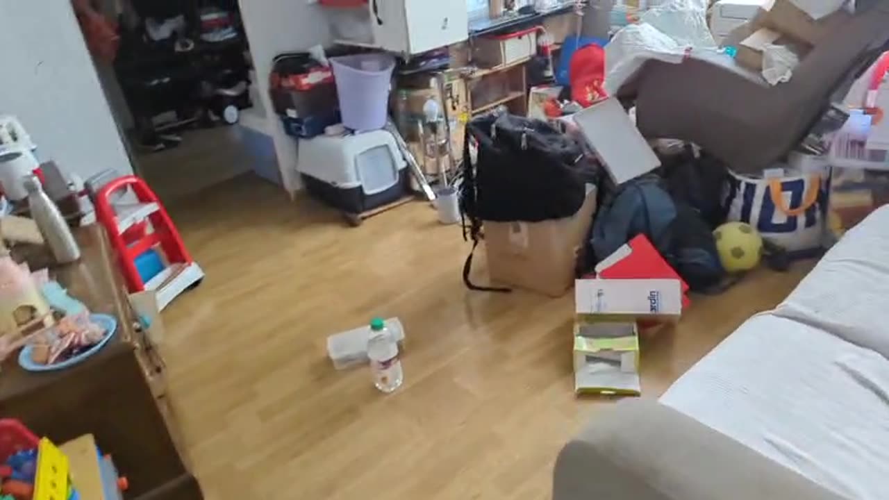 2023-04-07 (4) - local - Twitch Decheterie