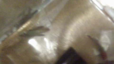 IMAG0003