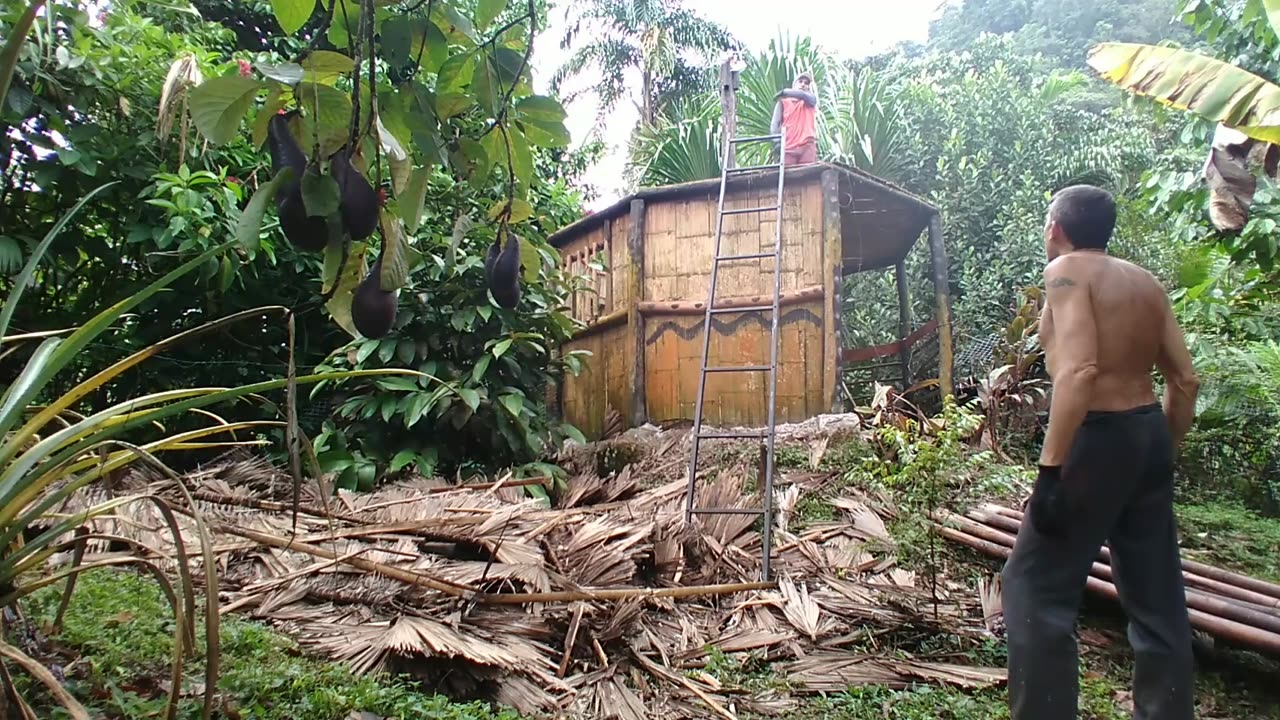 Making space for more fruit trees...cabin mulch.