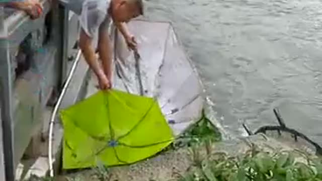 Chinese unique catch fish with umbrella